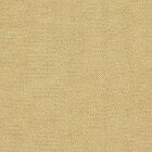 Абрикосовый Канвас. v-448